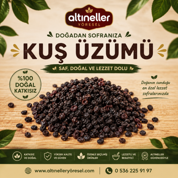 Kuş Üzümü