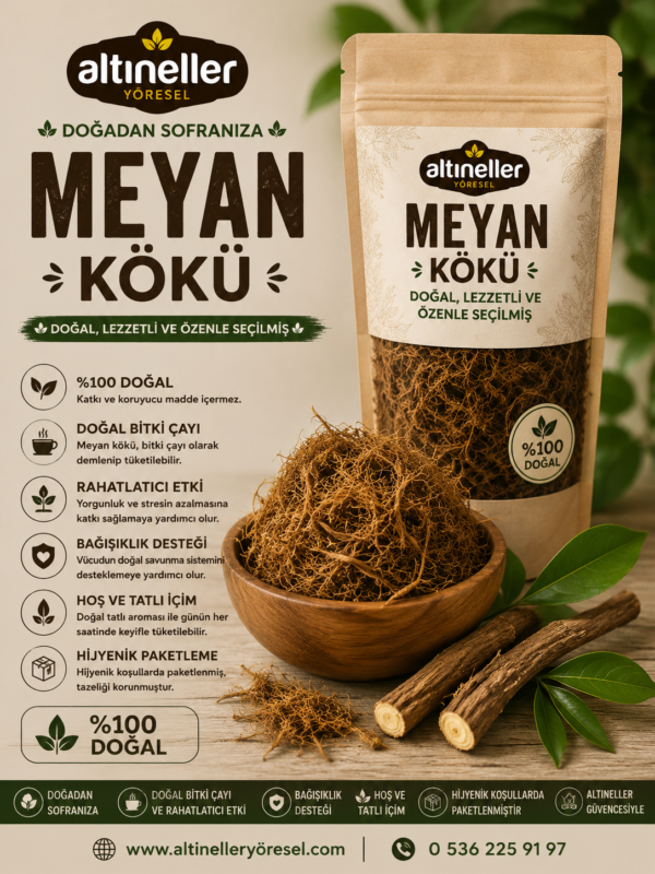 Meyan Kökü
